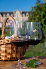 Tasting of Bordeaux blended red wine on green vineyards with rows of red Cabernet Sauvignon grape variety of Haut-Medoc vineyards, Bordeaux, left bank of Gironde Estuary, France