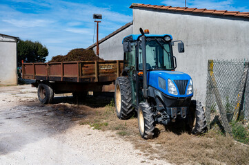 Harvest equipment and works in Saint-Emilion wine making region on right bank of Bordeaux, picking,...