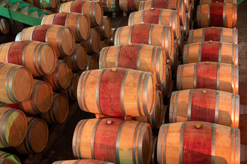Fototapeta premium French oak wooden barrels for aging red wine in underground cellar, Saint-Emilion wine making region picking, cru class Merlot or Cabernet Sauvignon red wine grapes, France, Bordeaux