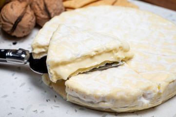 French soft Cremeux de Normandie cheese, soft creamy cheese with white mold