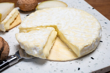 French soft Cremeux de Normandie cheese, soft creamy cheese with white mold
