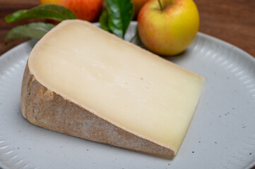 Piece of tasty Ossau-Iraty or Esquirrou sheep cheese produced in south-western France, Northern Basque Country