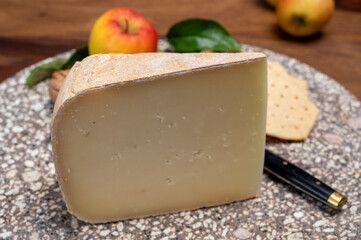 Piece of tasty Ossau-Iraty or Esquirrou sheep cheese produced in south-western France, Northern Basque Country