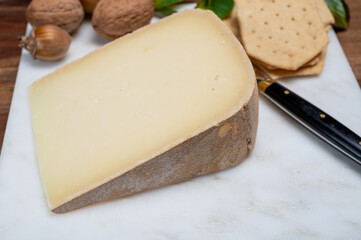 Piece of tasty Ossau-Iraty or Esquirrou sheep cheese produced in south-western France, Northern Basque Country