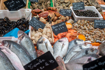 Assortment of fresh daily catch of prawns, seashells, molluscs on ice on fish market in France, English translation: differens French names seafood