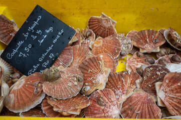 Assortment of fresh daily catch of seashells on ice on fish market in France, English translation: scallops st jacques from Atlantic North East