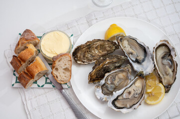 Fresh big french, dutch, pacific or japanese oysters molluscs, size number 1, served with fresh lemon, raw sea food