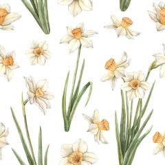 Watercolor pattern on a white background with yellow beautiful daffodils. Easter holiday illustration hand drawn. Sketch on isolated background for greeting cards, invitations, happy holidays, posters