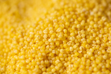 Background of raw millet seeds close up. Millet seeds texture.