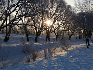Fototapeta na wymiar Dawn on a winter morning in a snow-covered park.