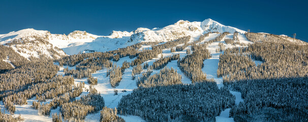 Snowy Blackcomb mountain panorama on a sunny winter day