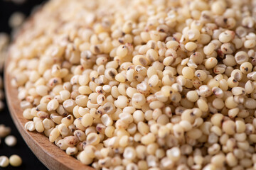 Sorghum seeds texture background. Whole seeds of Sorghum Moench