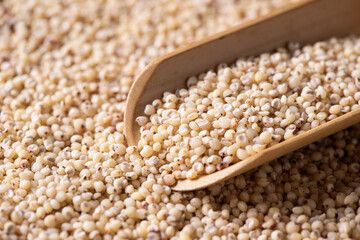 Sorghum seeds texture background. Whole seeds of Sorghum Moench