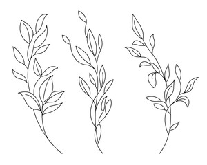 Continuous Line Drawing Set Of Plants Black Sketch of Flowers Isolated on White Background. Leaves Branches Set One Line Illustration. Minimal Style Floral Set. Vector EPS 10.