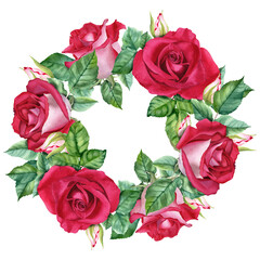 Fototapeta premium Watercolor wreath with red flower rose blooms, leaves and buds. Hand drawn illustration isolated on white. For clipart cards invitation greeting label