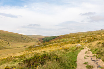 Fototapeta premium Dartmoor National Park in south west England and Wistmans Wood