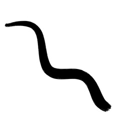 Scribble, doodle transparent background.