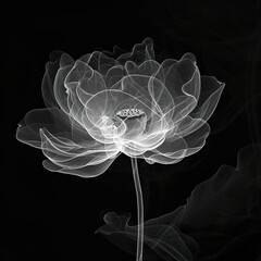 "Ephemeral Zen: Minimalist Ballpoint Drawing of a Fluorescent White Lotus in Abstract Illustration, Inspired by Chinese Ink Painting and Fractals, Captured with Capillary Effect and Highlighted''