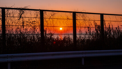 フェンス越しの夕日
