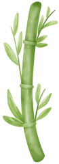 Bamboo stick watercolor