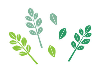 緑系の小枝と葉の北欧風イラストセット
