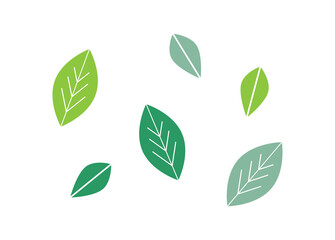 2種類の葉の北欧風イラストセット