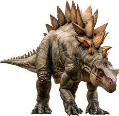 Fototapeta premium Stegosaurus dinosaur on transparent background. PNG