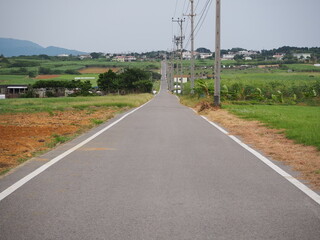 Sugar Road, across an idyllic landscape of cattle pastures and sugarcane fields