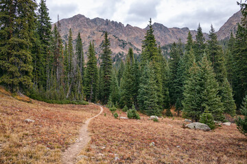 Hiking trail in the Eagles Nest Wilderness, Colorado