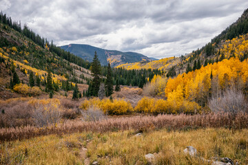 Tranquil landscape in the Eagles Nest Wilderness, Colorado