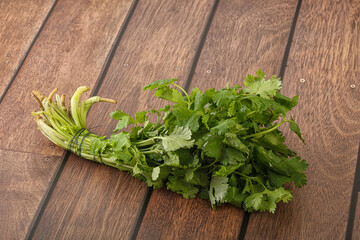 Green coriander leaves herb heap