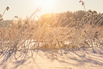 Wintry landscape wallpaper image from Finland on a very cold winter day. Frosty nature concept image with animal tracks and flare effect added.