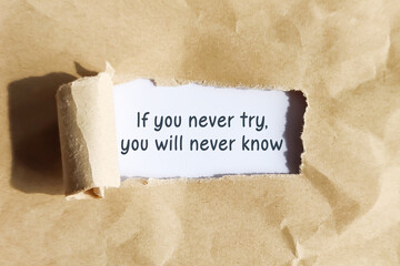 If you never try you will never know text on torn paper