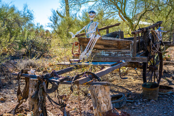 Fototapeta na wymiar A bone on top of a horse drawn carriage in Tucson, Arizona