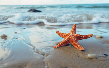 desktop wallpapers high quality  