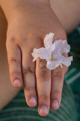 Obraz na płótnie Canvas Close up of a hand of a curvy woman holding white flower