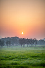 해지는 제주의 들판