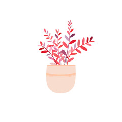 flower in a pot