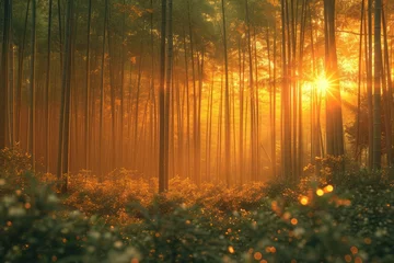 Gordijnen Green and lush bamboo forest professional photography © NikahGeh