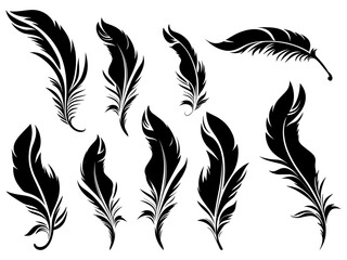 Obraz premium Set of detailed majestic feather collection. Bird Feather black silhouettes. Plumelet collection. Vector isolated on white