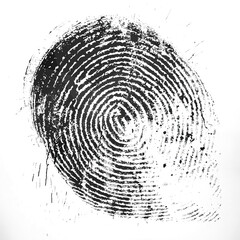 Fingerprint isolated on transparent background. PNG. PSD - obrazy, fototapety, plakaty