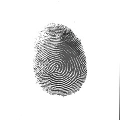 Fingerprint isolated on transparent background. PNG. PSD