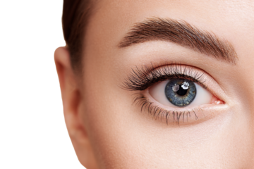 Female Eye with Extreme Long False Eyelashes. Eyelash Extensions. Makeup, Cosmetics, Beauty. Close up, Macro