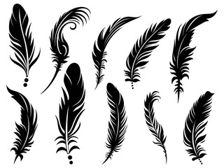 Obraz premium Set of detailed majestic feather collection. Bird Feather black silhouettes. Plumelet collection. Vector isolated on white