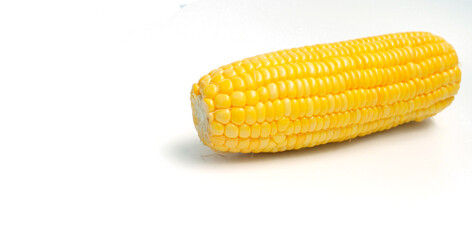 Corn or Maize (Zea mays) on a Transparent Background