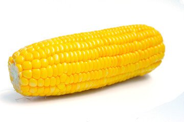 Corn or Maize (Zea mays) on a Transparent Background