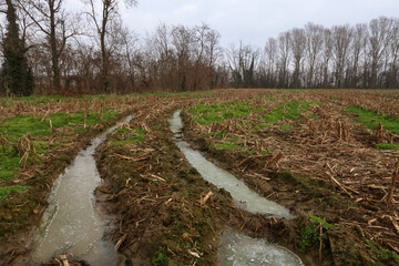 Po Valley foggy misty smoke landscape fields crops