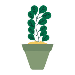 pot in green color with flowers plant