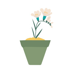 pot in green color with flowers plant