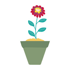 pot in green color with flowers plant